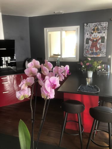 Customer photo review of Save Water - Duck