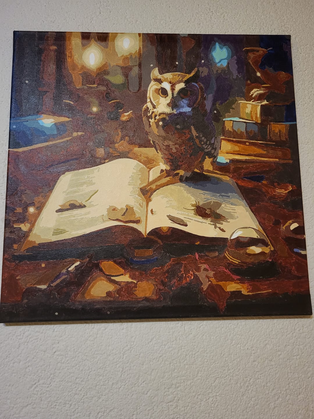 Customer photo review of Malen nach Zahlen - Eule mit Buch und Kerzen