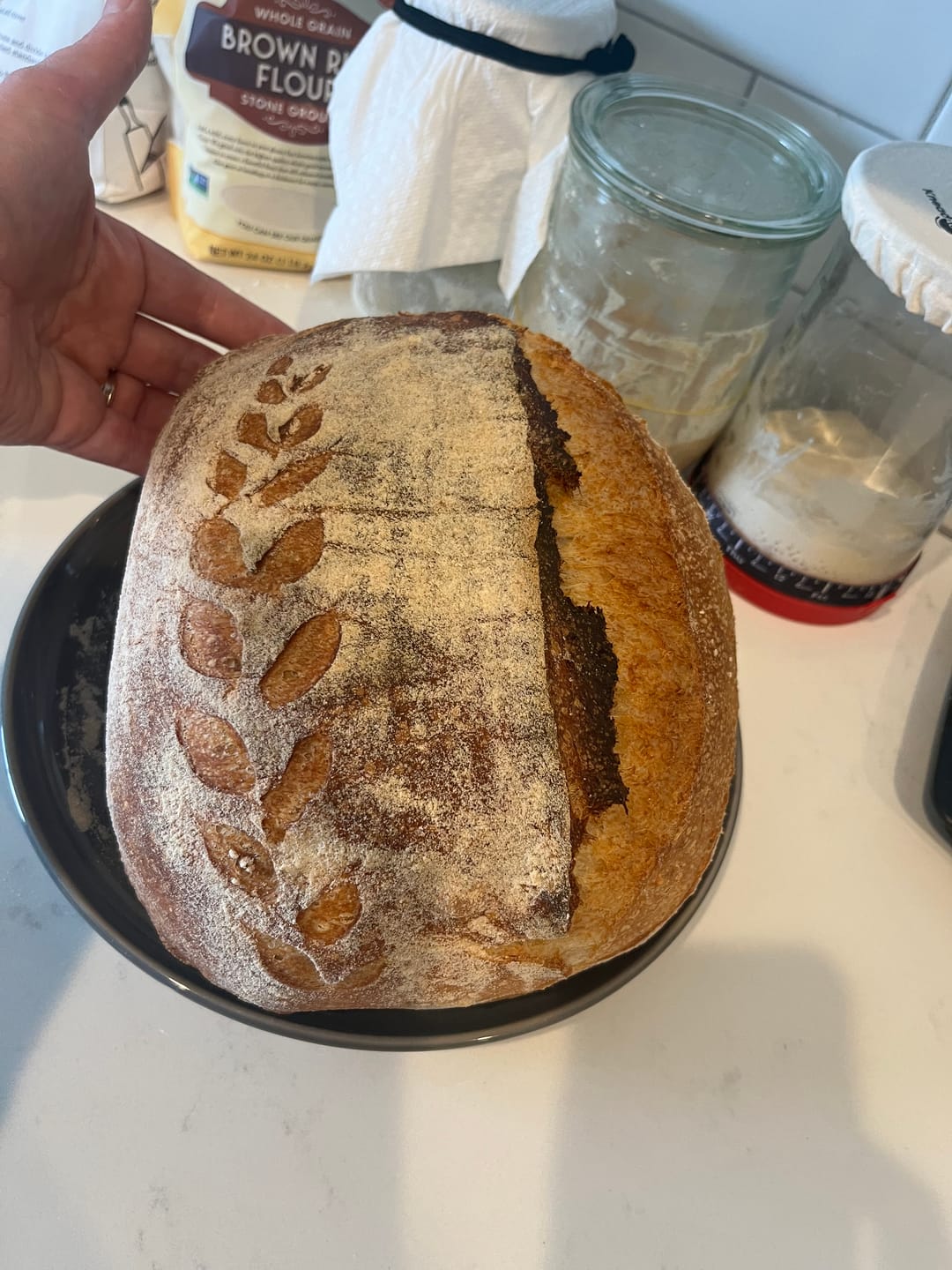 Customer photo review of Dehydrated Sourdough Starter Kit