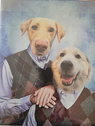 Customer photo review of Custom Step Brothers Portrait Canvas for Brothers, Friends, Pet and Pet Owner, Pet Brothers