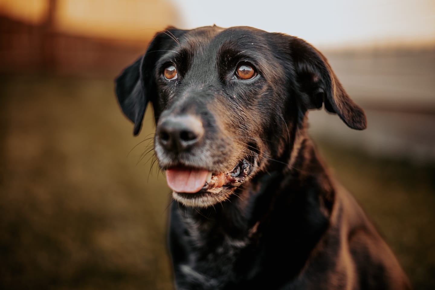 Customer photo review of INFLUENCER MUST-HAVE 50 PACKS (470+ PRESETS)