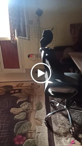 Customer video review of Rall- Portable Tailbone Cushion