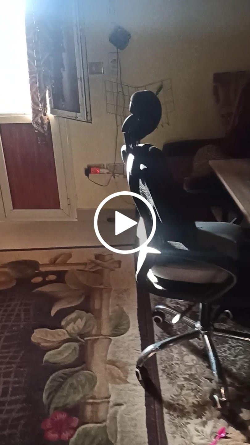 Customer video review of Rall- Portable Tailbone Cushion