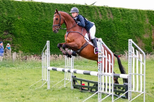 Customer photo review of Digestive EQ - Equine Gut Supplement