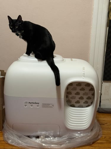 Customer photo review of Self-Cleaning Litter Box