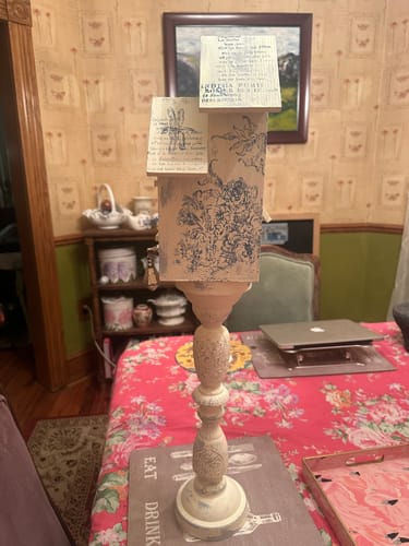 Customer photo review of One Step Paint - Aviary