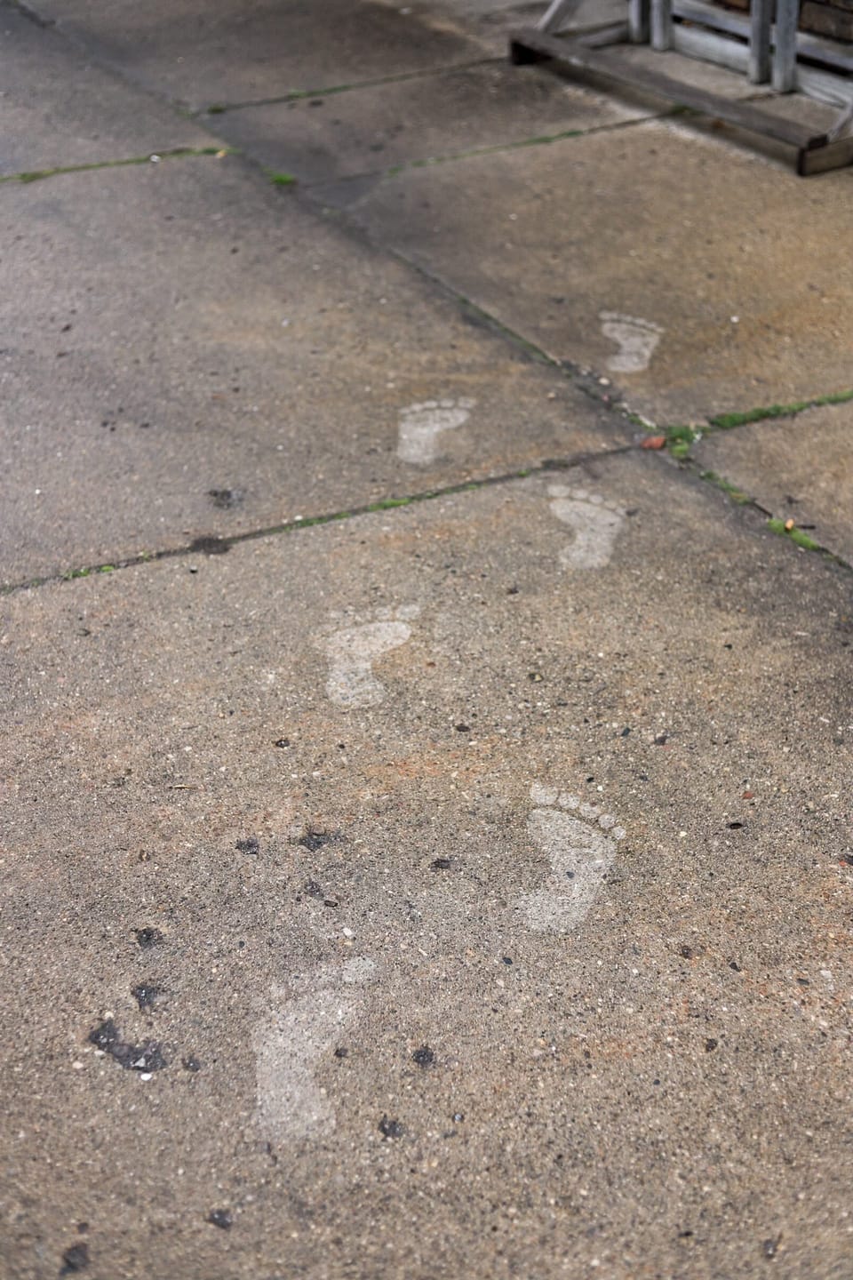 Customer photo review of Big Foot Prints PopOut Stencils (2 Pack)