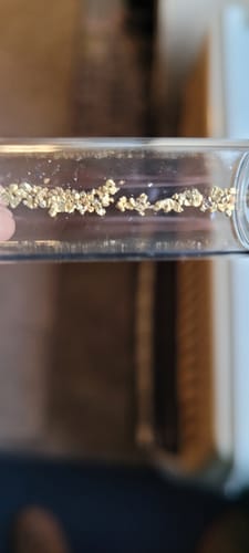 Customer photo review of Nugget Reserve 'MUSEUM SPECIMEN CHASE' - Gold Panning Paydirt Concentrate