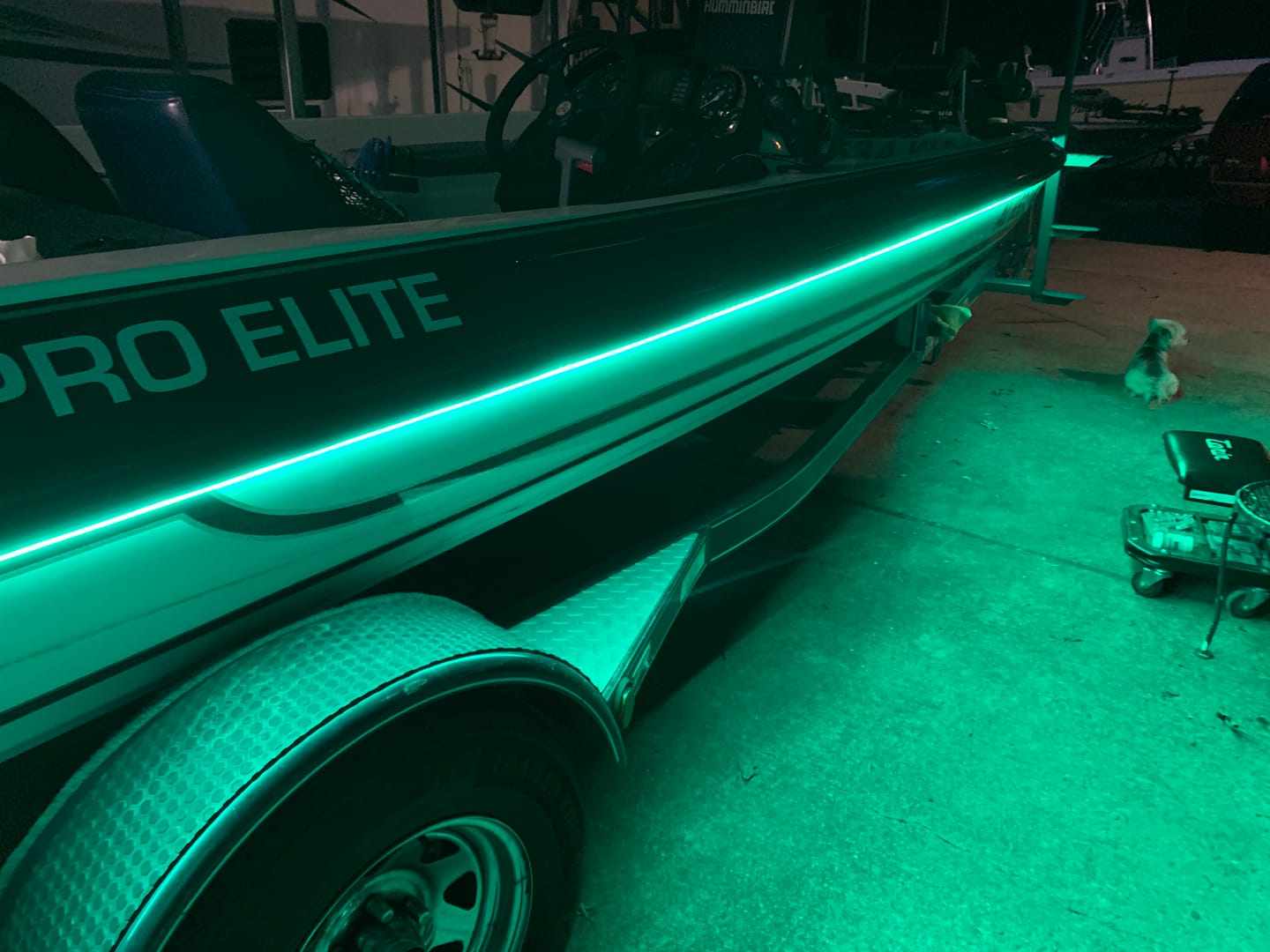 Customer photo review of 12V Submersible Marine LED strip lights for boats with IP68 waterproof rating SMD 5050