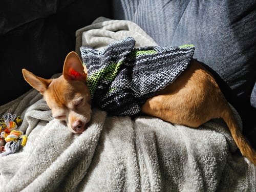 Customer photo review of Free & Easy Return or Exchange Coverage + Package Protection