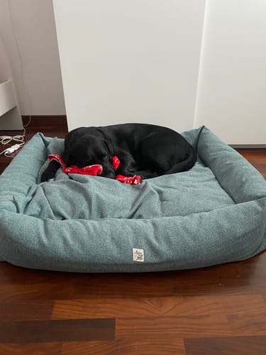 Customer photo review of Divanetto Cotone Urban Azzurro Polvere