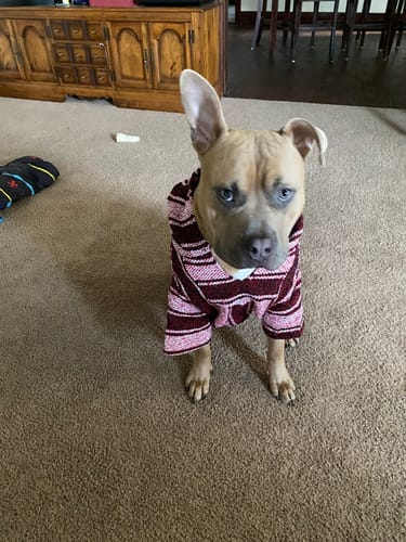 Customer photo review of Playa Poncho - Surprise Color