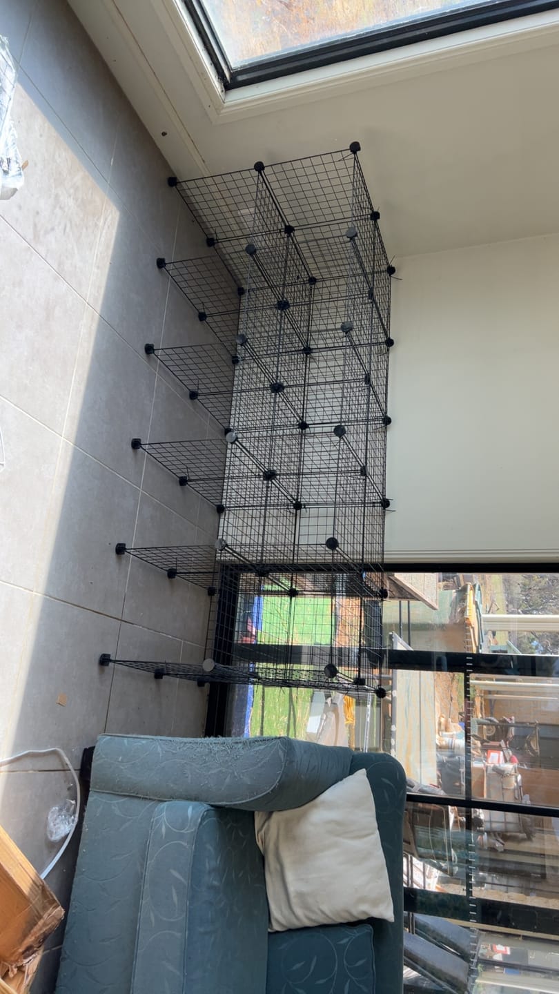 Customer photo review of 2 x 5 Black Ozzy C&C Cage for Guinea Pigs