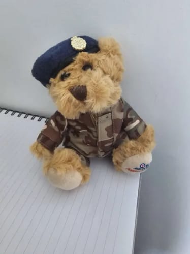 Katie review of 6'' RAF MTP Beanie Bear image 1 out of 1
