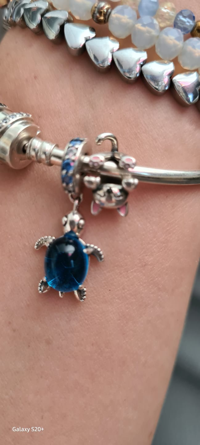 Customer photo review of Charm Tortuga