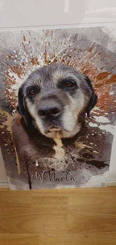 Customer photo review of Graffiti Pawtrait