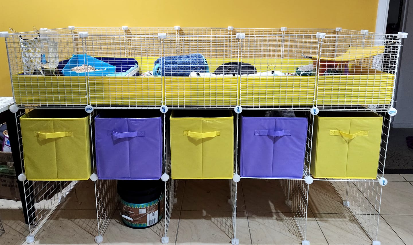 Customer photo review of Ozzy Pets Storage Box for Ozzy Cages