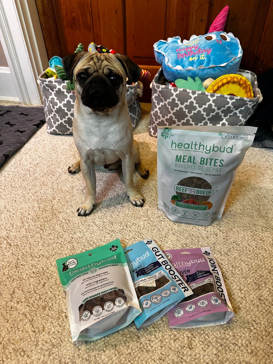 Customer photo review of Beef Lung Wafers