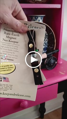 Customer video review of Blue Line