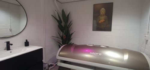 Customer photo review of Strelitzia Kunstplant Met Bloem 210cm