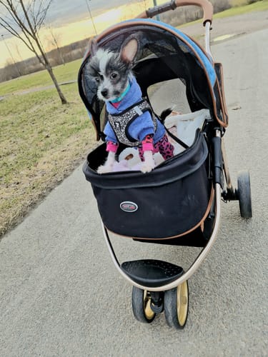 Customer photo review of Urban Eco lemmikkirattaat