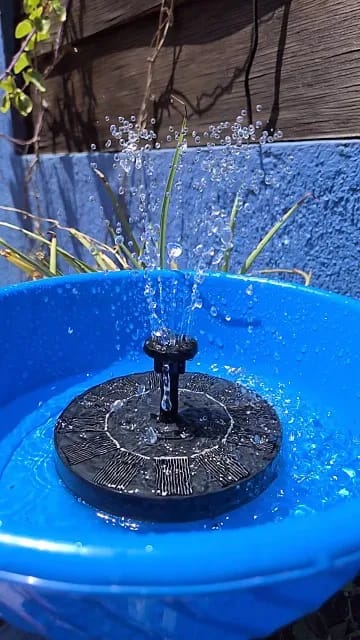 Customer photo review of Solar Water Fountain