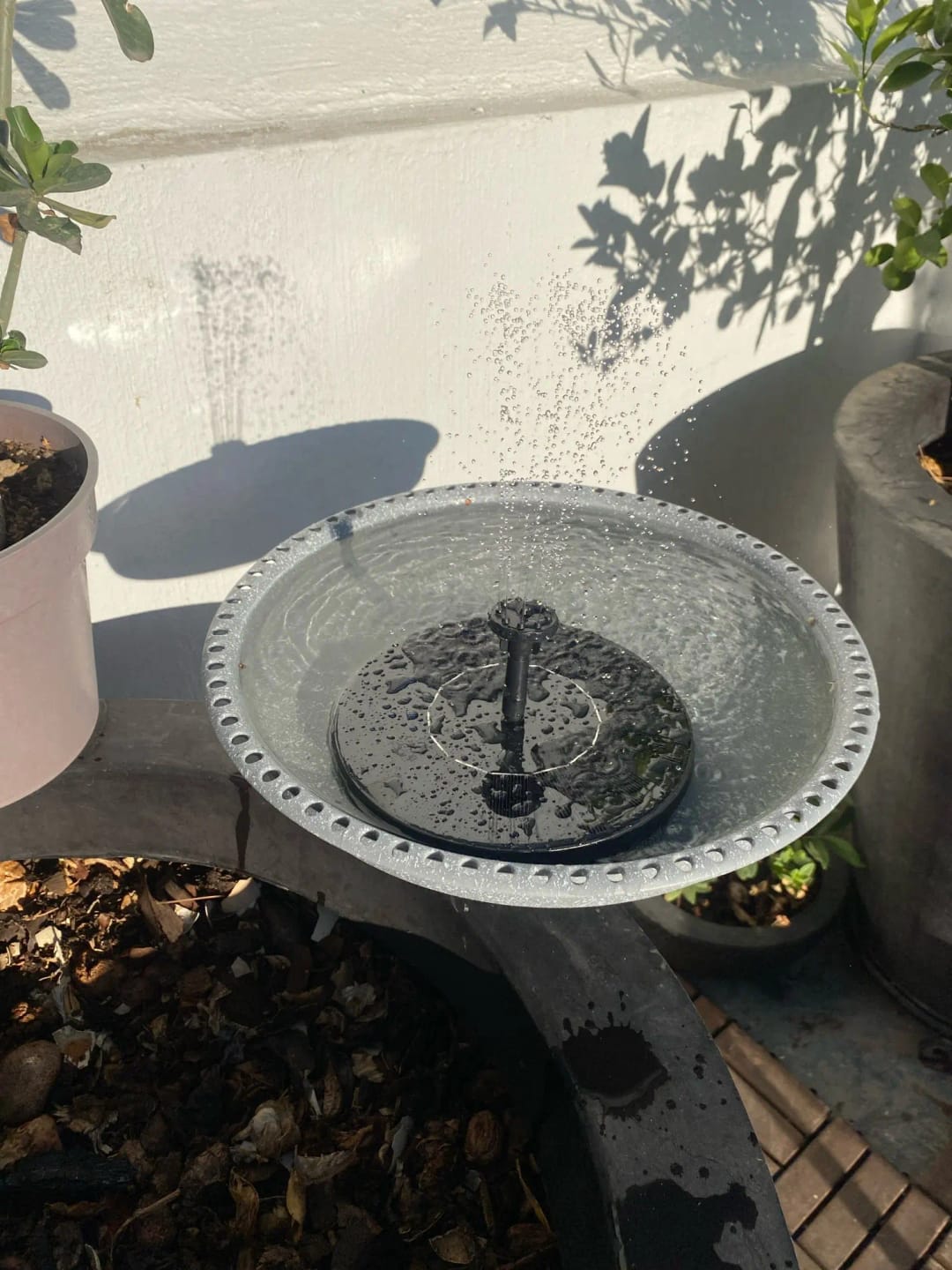 Customer photo review of Solar Water Fountain