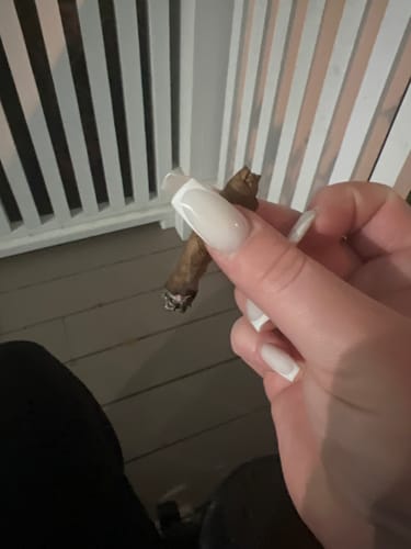 Customer photo review of LooseLeaf X Cookies 2-Pack Wraps (40 Count)