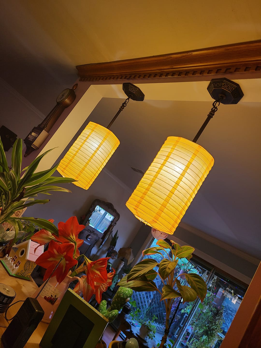 Customer photo review of 8" Orange Cylinder Paper Lantern