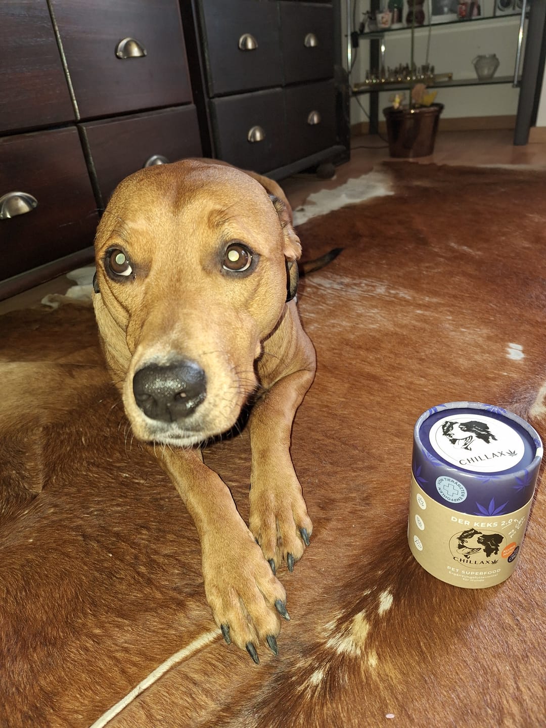 Customer photo review of Hundekekse - Kürbis-Huhn - 2 mg CBD - Total 480 mg CBD