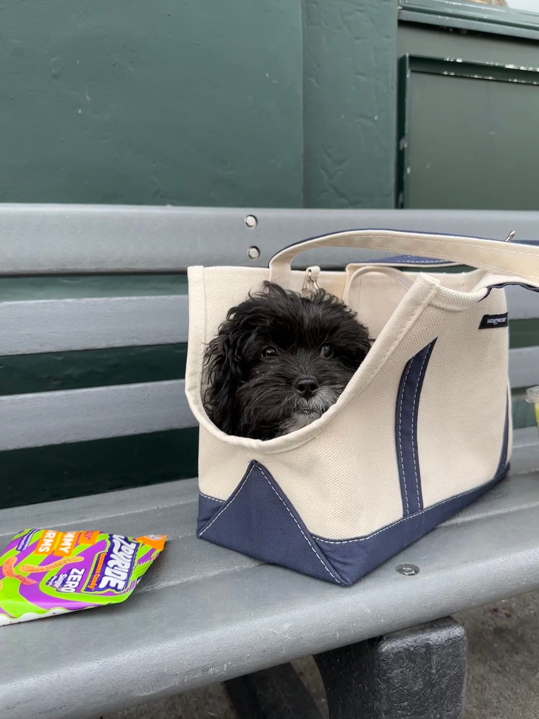 Customer photo review of Boat Canvas Carrier - Classic
