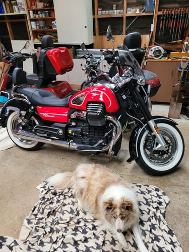 Customer photo review of Waterless Wash / Detailer 4 Pack