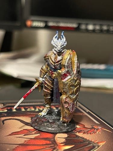 Customer photo review of Altair, Dragonborn Paladin
