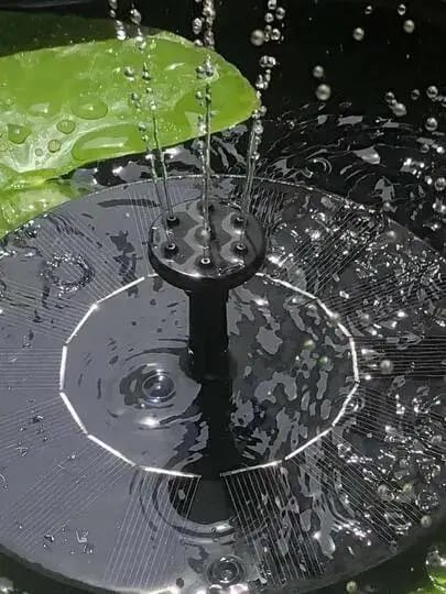 Customer photo review of Solar Water Fountain