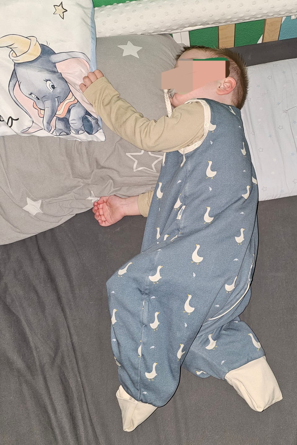 Customer photo review of Schlafsack mit Füßen 1.5 TOG