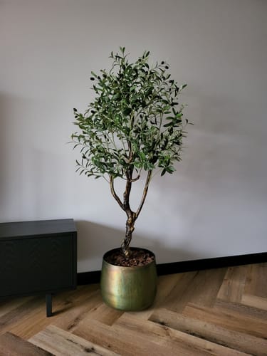 Customer photo review of Kunst Olijfboom 150cm