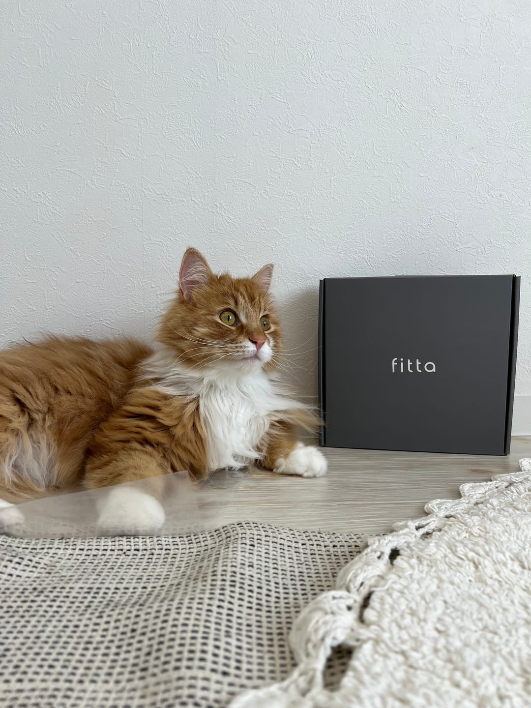 Customer photo review of 【セール開催中!!15%OFF】fitta 電源タップ  3個口