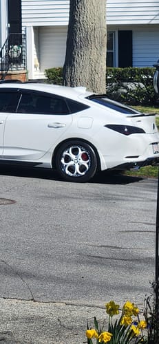 Customer photo review of CUSTOM 2 PIECE FORGED WHITE & BLACK WHEELS: RV-DS016