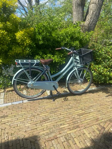 Customer photo review of E-Cargo N7