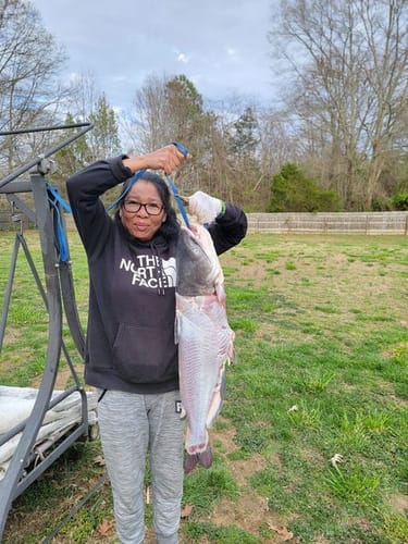 Customer photo review of 9'4" No Excuses Surf Travel Rod with Tube Medium-Heavy Action 3/4oz to 3oz