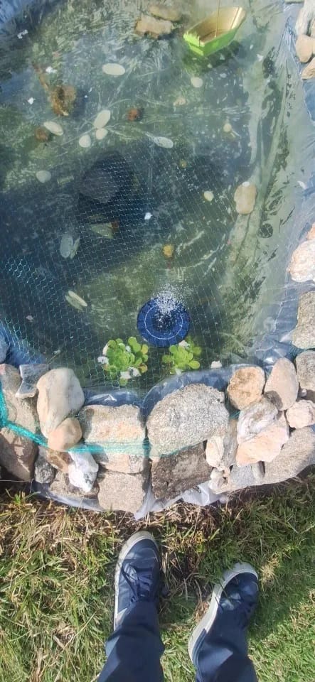Customer photo review of Solar Water Fountain