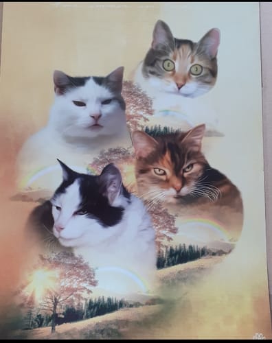 Customer photo review of Natur Pawtrait