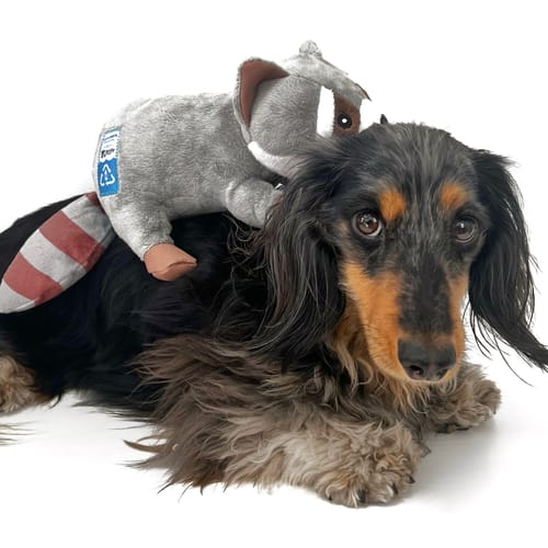 Customer photo review of Clean Earth Plush - 100% Sustainable