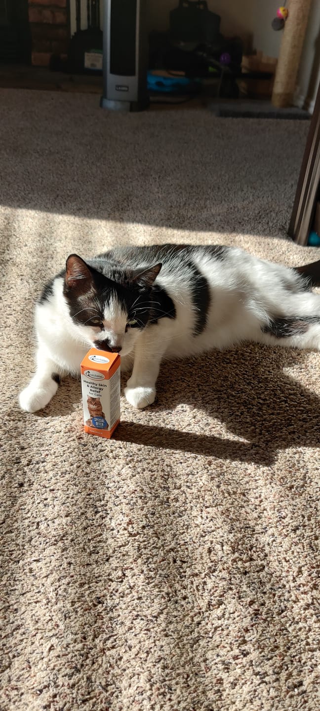 Customer photo review of Healthy Skin for Cats - Cat Miliary Dermatitis, Skin Allergy & Cat Scabs Remedy