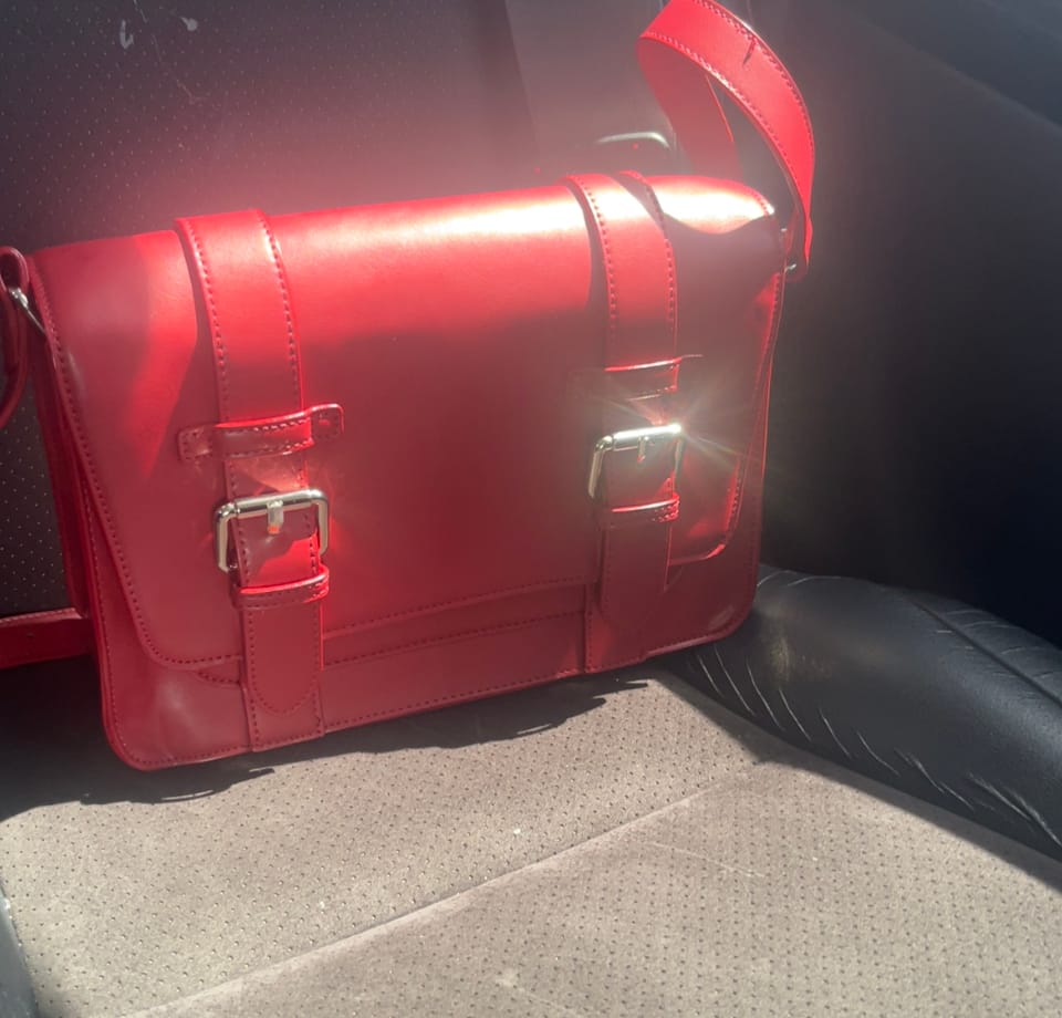 Customer photo review of Jane Messenger Bag
