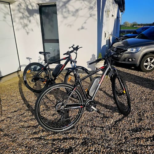 Customer photo review of Electric Mountain Bike M2