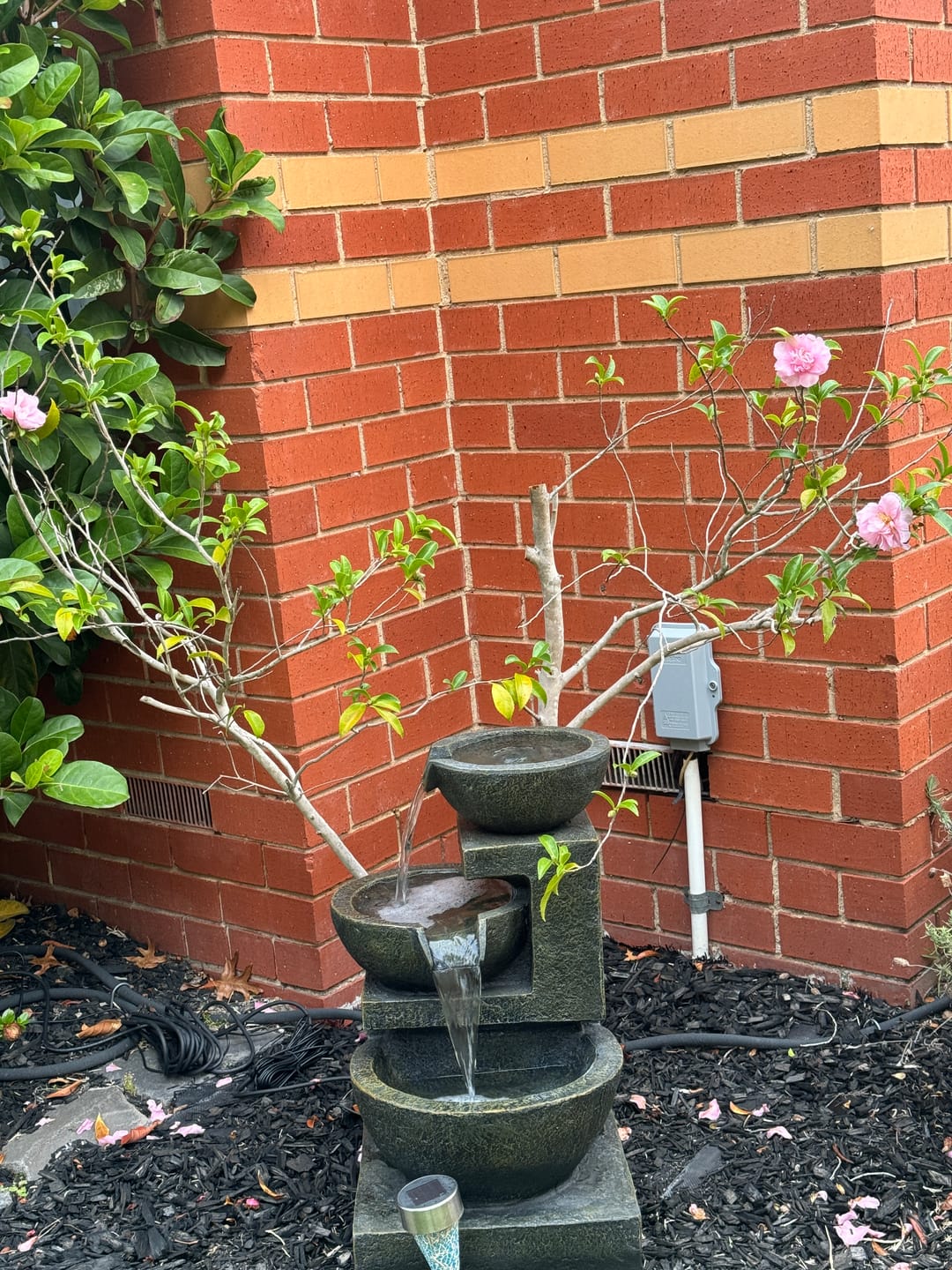 Customer photo review of Carmen 3-Tier Garden Water Feature - Best Seller