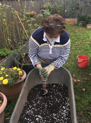 Customer photo review of ProfiPlanter