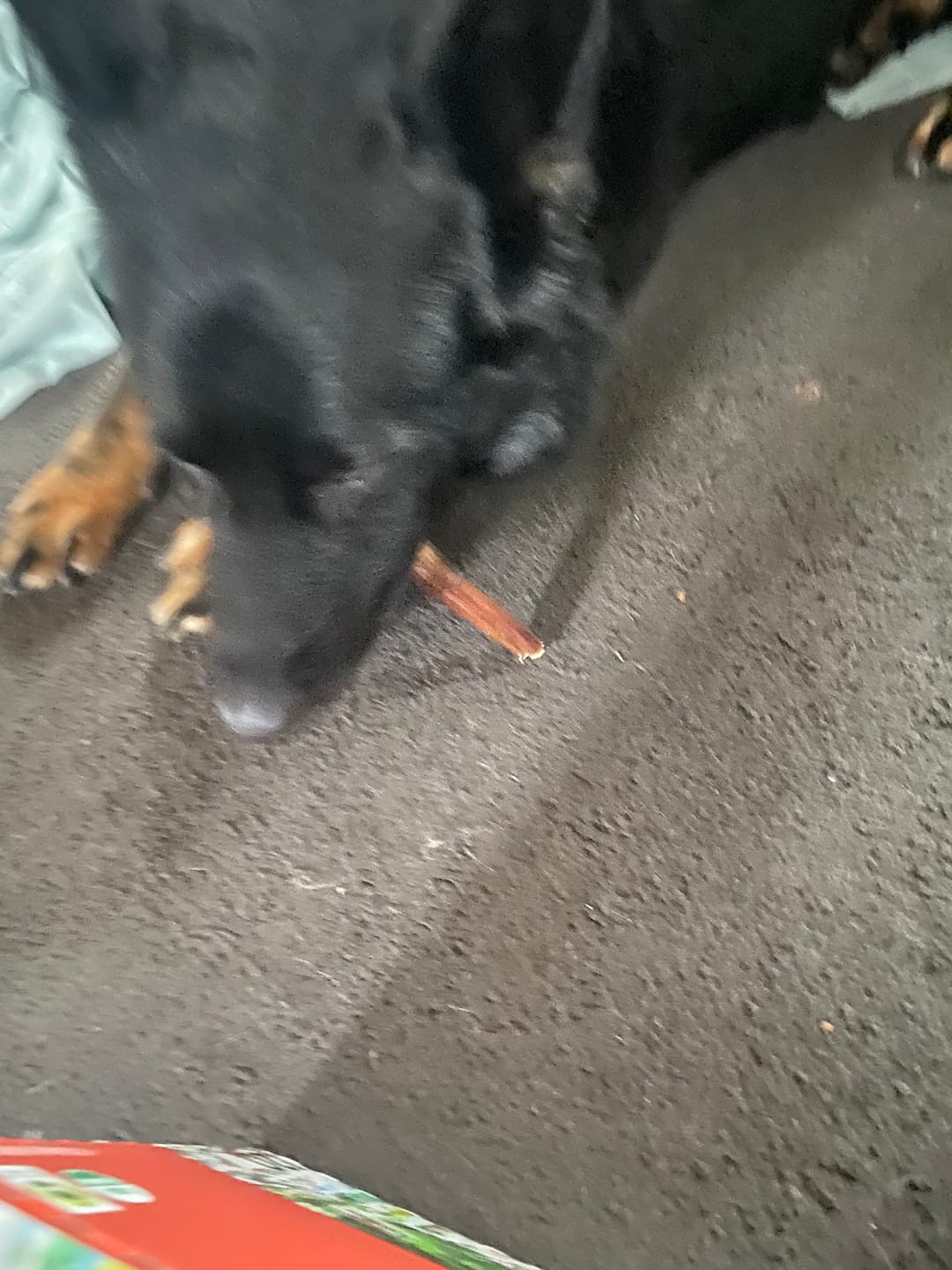 Customer photo review of 6 Inch Beef Jerky Stick