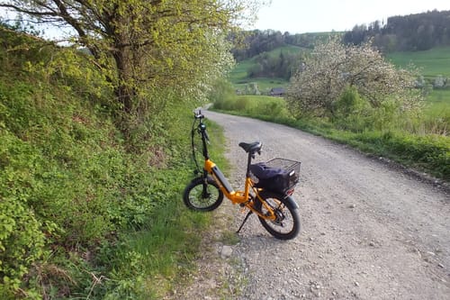 Customer photo review of Vakole VT4 250W 20" Foldable Electric Bike 13Ah Step-through E-bike [Pre-Order]